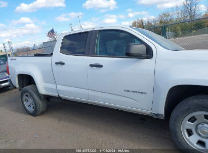 Lot #3037546464 2022 CHEVROLET COLORADO 4WD  LONG BOX WT