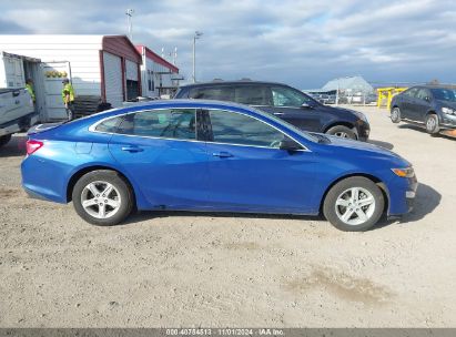 Lot #3037546433 2023 CHEVROLET MALIBU FWD 1FL