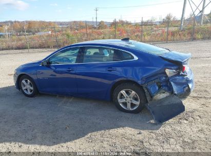 Lot #3037546433 2023 CHEVROLET MALIBU FWD 1FL