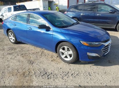 Lot #3037546433 2023 CHEVROLET MALIBU FWD 1FL