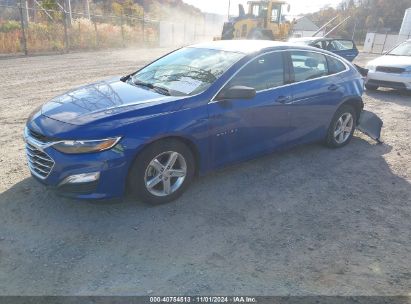 Lot #3037546433 2023 CHEVROLET MALIBU FWD 1FL