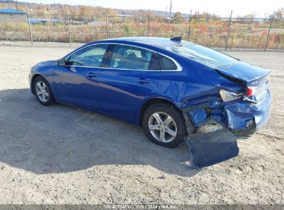 Lot #3037546433 2023 CHEVROLET MALIBU FWD 1FL