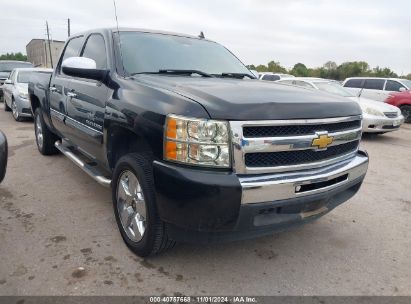 Lot #3053662135 2010 CHEVROLET SILVERADO 1500 LT