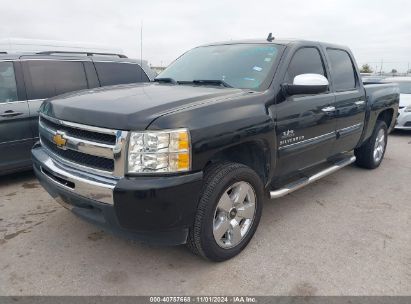 Lot #3053662135 2010 CHEVROLET SILVERADO 1500 LT