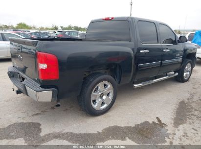 Lot #3053662135 2010 CHEVROLET SILVERADO 1500 LT