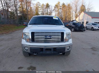 Lot #2992822147 2012 FORD F-150 XLT