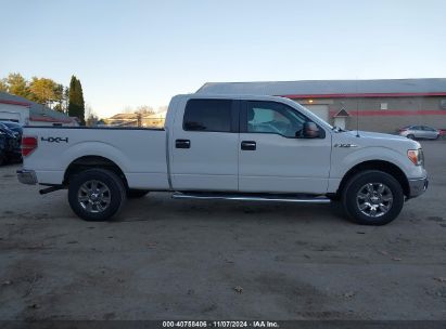 Lot #2992822147 2012 FORD F-150 XLT