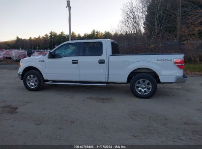 Lot #2992822147 2012 FORD F-150 XLT