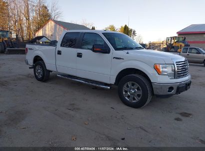 Lot #2992822147 2012 FORD F-150 XLT