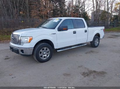 Lot #2992822147 2012 FORD F-150 XLT