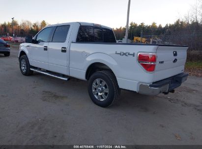 Lot #2992822147 2012 FORD F-150 XLT