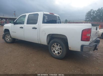 Lot #2990352416 2009 CHEVROLET SILVERADO 1500 WORK TRUCK