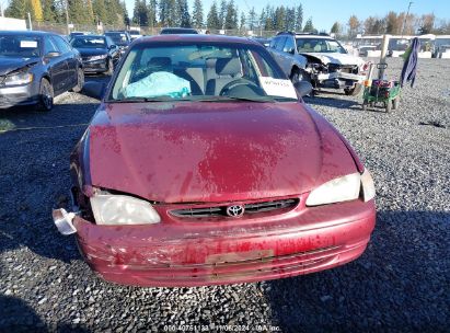 Lot #3035095070 1999 TOYOTA COROLLA VE