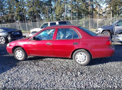 Lot #3035095070 1999 TOYOTA COROLLA VE