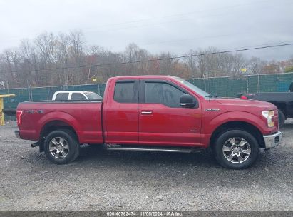 Lot #3031250481 2015 FORD F-150 XLT