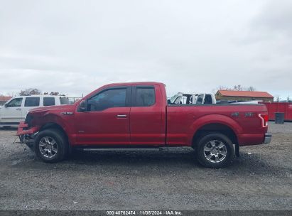 Lot #3031250481 2015 FORD F-150 XLT