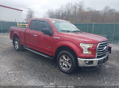 Lot #3031250481 2015 FORD F-150 XLT