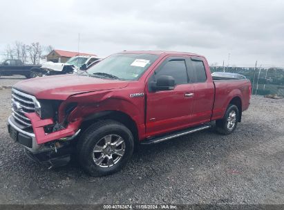 Lot #3031250481 2015 FORD F-150 XLT