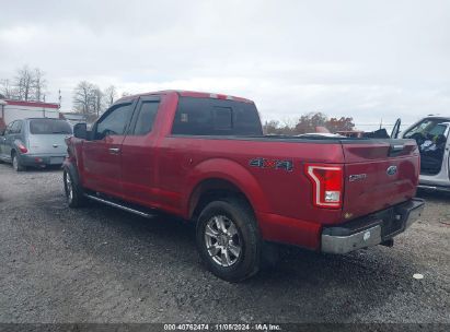 Lot #3031250481 2015 FORD F-150 XLT