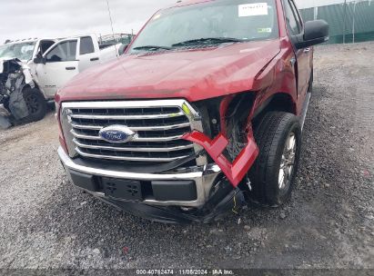 Lot #3031250481 2015 FORD F-150 XLT