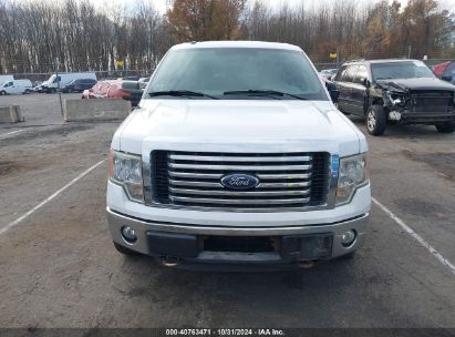 Lot #2996536219 2011 FORD F-150 XLT