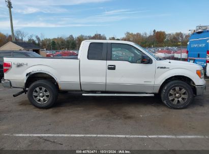 Lot #2996536219 2011 FORD F-150 XLT