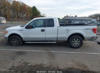 Lot #2996536219 2011 FORD F-150 XLT