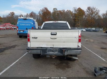 Lot #2996536219 2011 FORD F-150 XLT