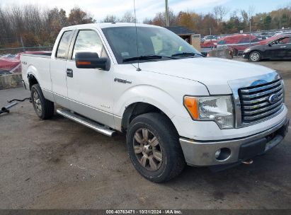 Lot #2996536219 2011 FORD F-150 XLT