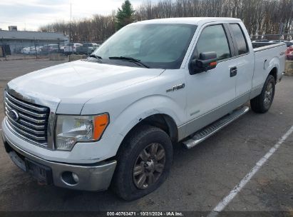 Lot #2996536219 2011 FORD F-150 XLT