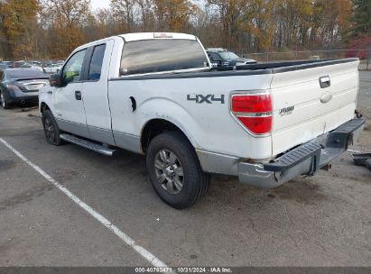 Lot #2996536219 2011 FORD F-150 XLT