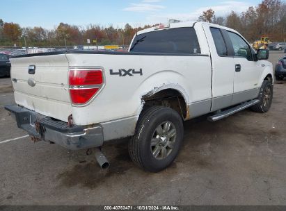 Lot #2996536219 2011 FORD F-150 XLT