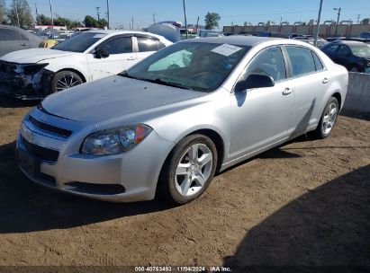 Lot #3035095031 2010 CHEVROLET MALIBU LS