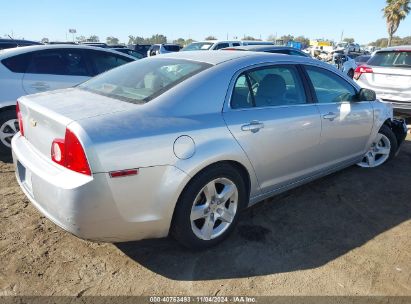 Lot #3035095031 2010 CHEVROLET MALIBU LS