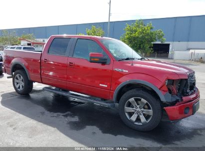 Lot #2992832415 2014 FORD F-150 FX4