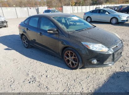 Lot #2995294964 2013 FORD FOCUS SE