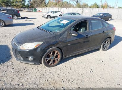 Lot #2995294964 2013 FORD FOCUS SE