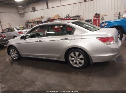 Lot #3034053821 2009 HONDA ACCORD 3.5 EX-L