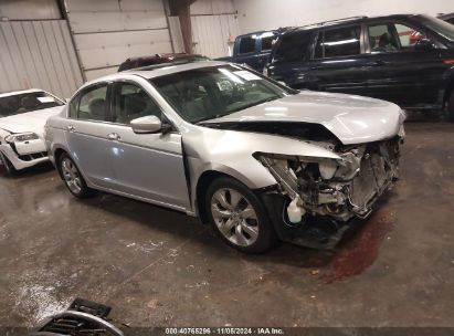 Lot #3034053821 2009 HONDA ACCORD 3.5 EX-L