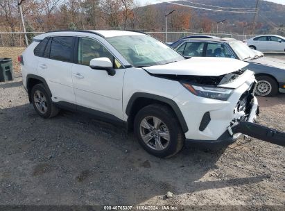 Lot #2996536195 2023 TOYOTA RAV4 HYBRID XLE