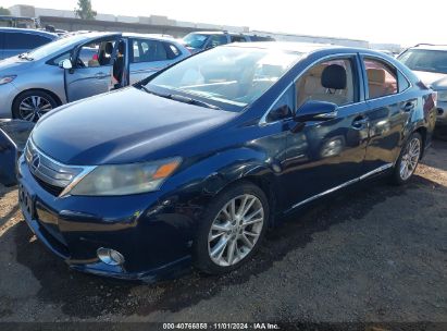 Lot #2992832398 2010 LEXUS HS 250H PREMIUM