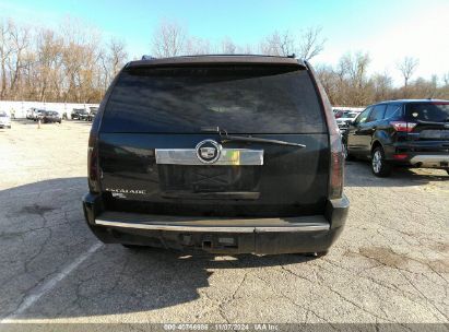 Lot #2992822014 2008 CADILLAC ESCALADE STANDARD