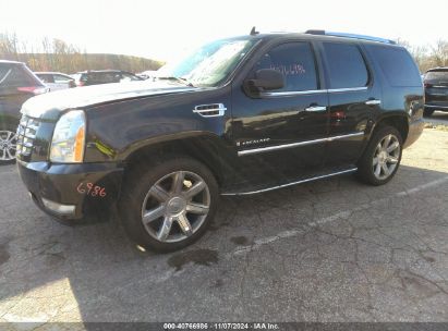 Lot #2992822014 2008 CADILLAC ESCALADE STANDARD