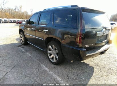 Lot #2992822014 2008 CADILLAC ESCALADE STANDARD