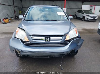 Lot #3034053817 2007 HONDA CR-V EX-L