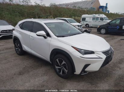 Lot #2995295337 2021 LEXUS NX 300