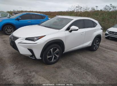 Lot #2995295337 2021 LEXUS NX 300