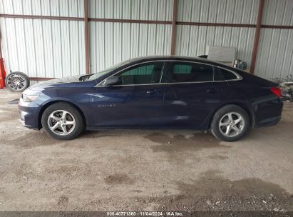 Lot #3053063657 2016 CHEVROLET MALIBU LS