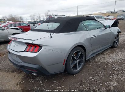 Lot #2990346977 2024 FORD MUSTANG ECOBOOST PREMIUM