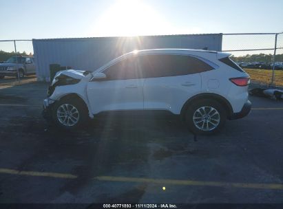 Lot #3035073486 2020 FORD ESCAPE SE